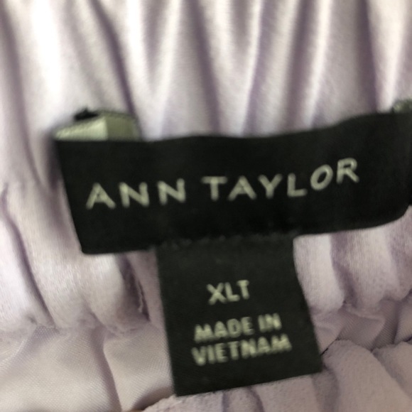 Ann Taylor Colorblock Pleated Midi Skirt (XLT) - Picture 5 of 5